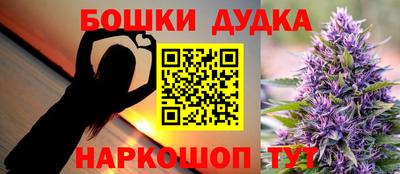 PSILOCYBIN Гатчина