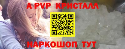 PSILOCYBIN Гатчина
