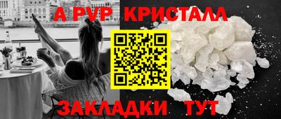PSILOCYBIN Гатчина