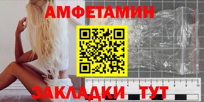 PSILOCYBIN Гатчина