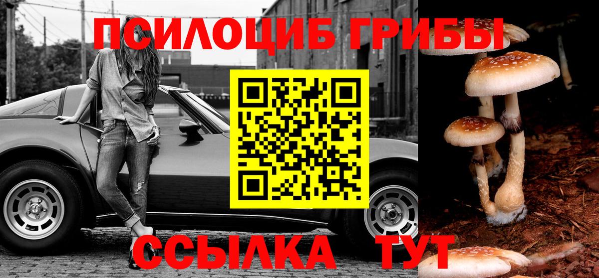 Галлюциногенные грибы мицелий  Вход с VPN  Приморско-Ахтарск  Галлюциногенные грибы Psilocybine cubensis 