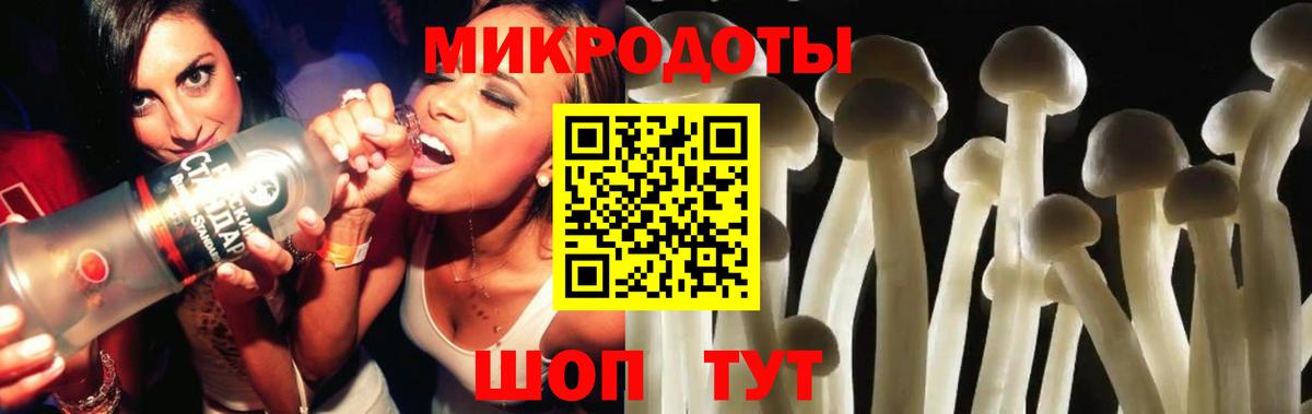 Галлюциногенные грибы мицелий  Приморско-Ахтарск 