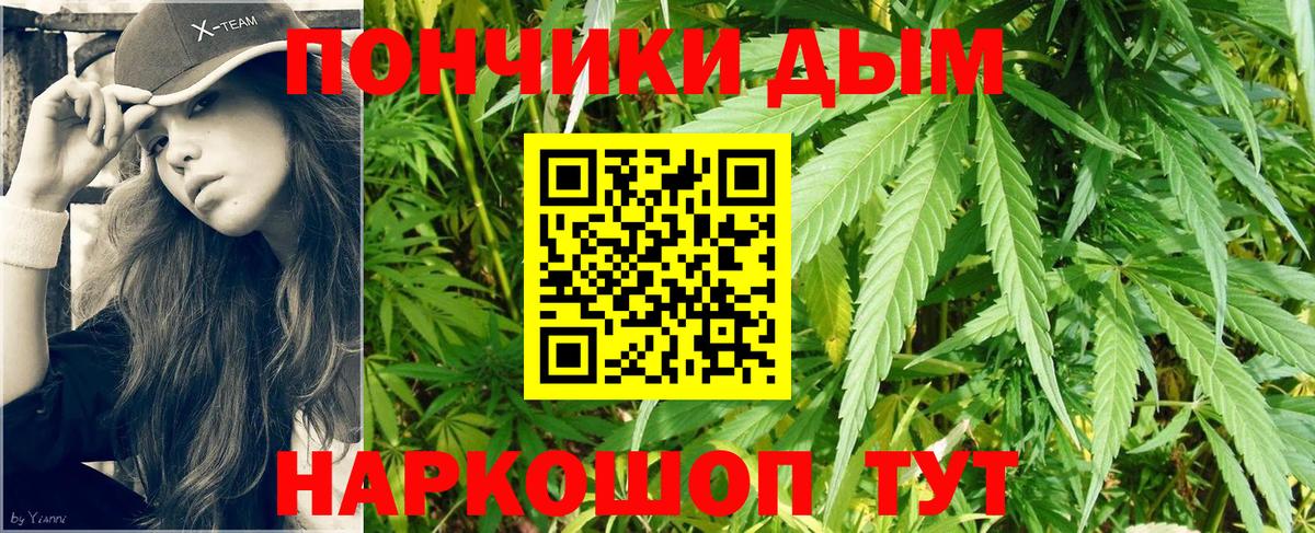 Марихуана сатива  Каннабис план  Вход с VPN  Канабис OG Kush  Приморско-Ахтарск 